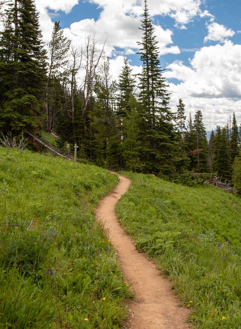 The Best Things To Do In Bozeman In The Summer - Take A Hike