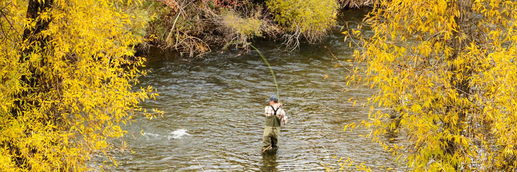 The Best Things To Do In Bozeman In The Fall - Go Fly Fishing