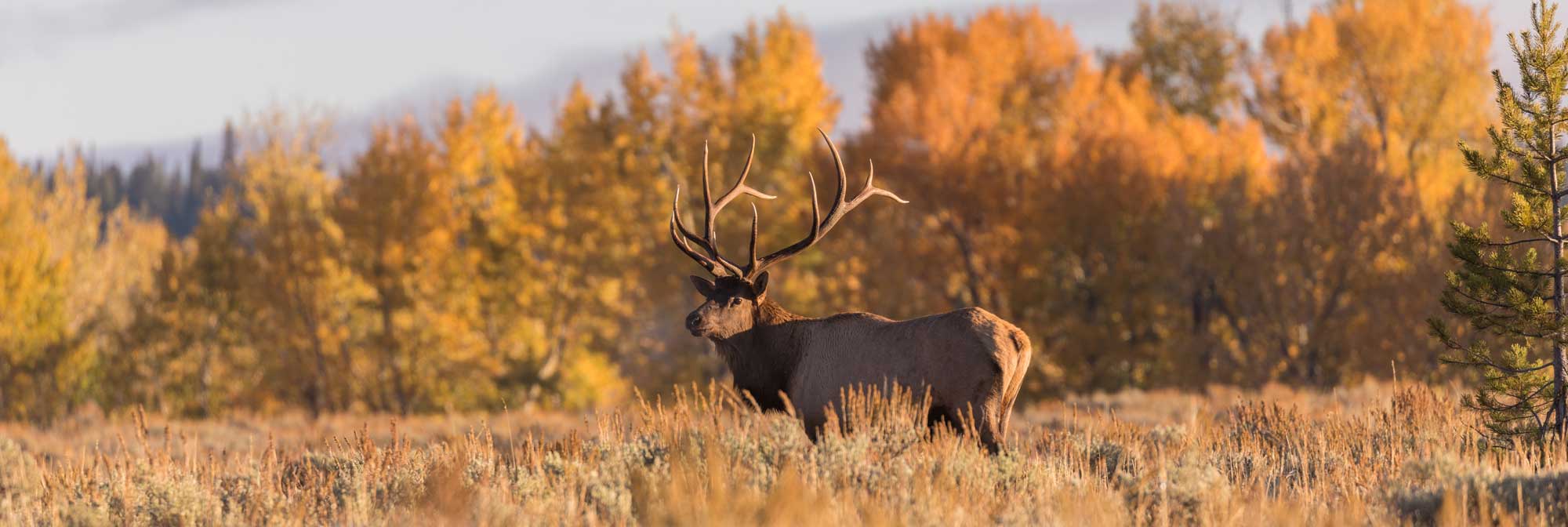 The Best Things To Do In Bozeman In The Fall - Visit Yellowstone