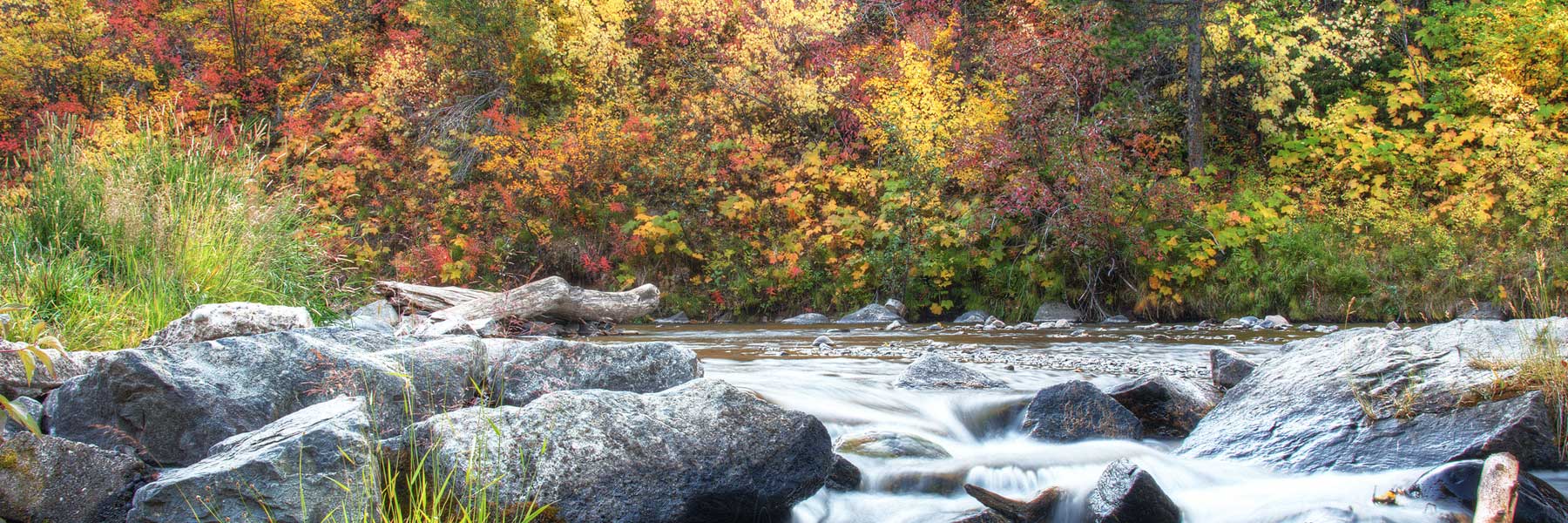The Best Things To Do In Bozeman In The Fall - View Fall Colors