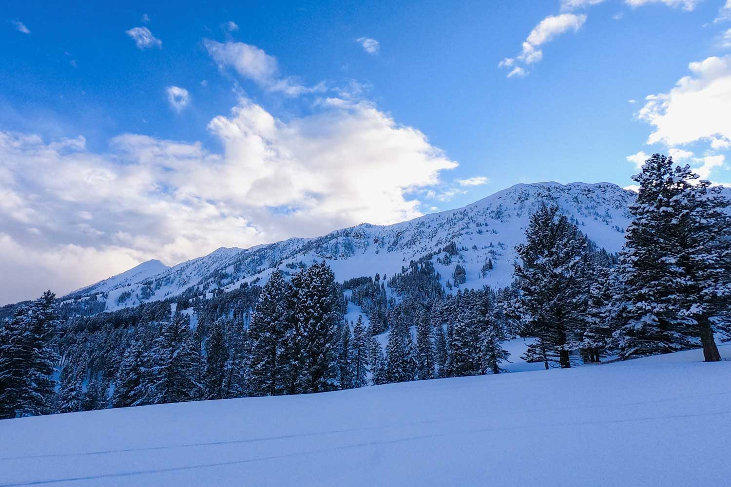 Best Winter Activities in Bozeman - Ski Bridger Bowl
