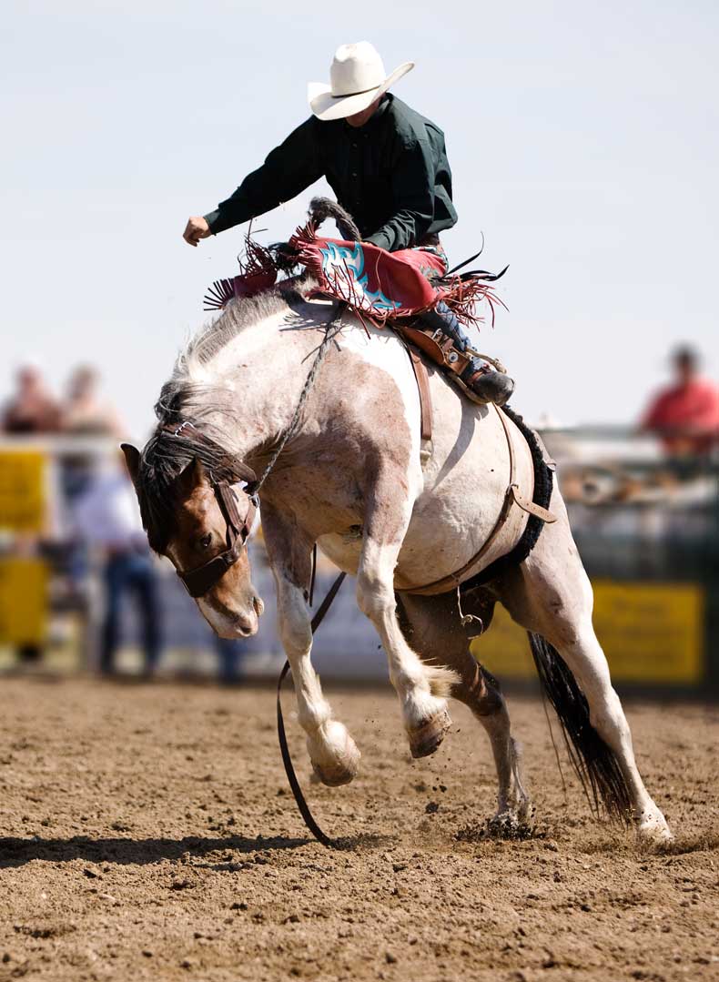 Bozeman Rodeo | Spring Activies In Montana