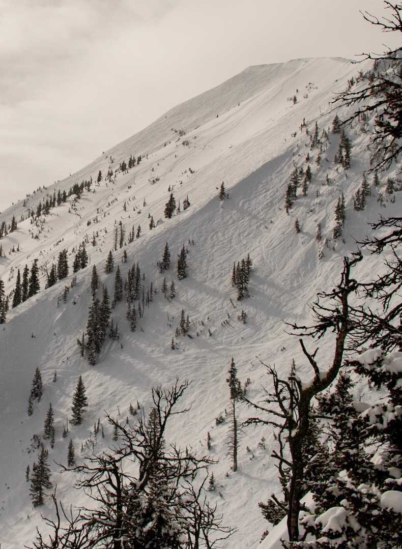 Skiing at Bridger Bowl in Bozeman, Montana