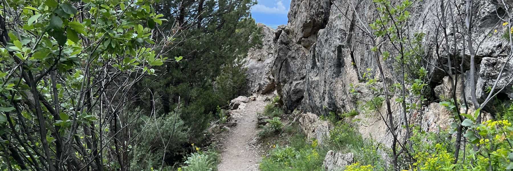 The College M Trail - Easy Hikes In Bozeman